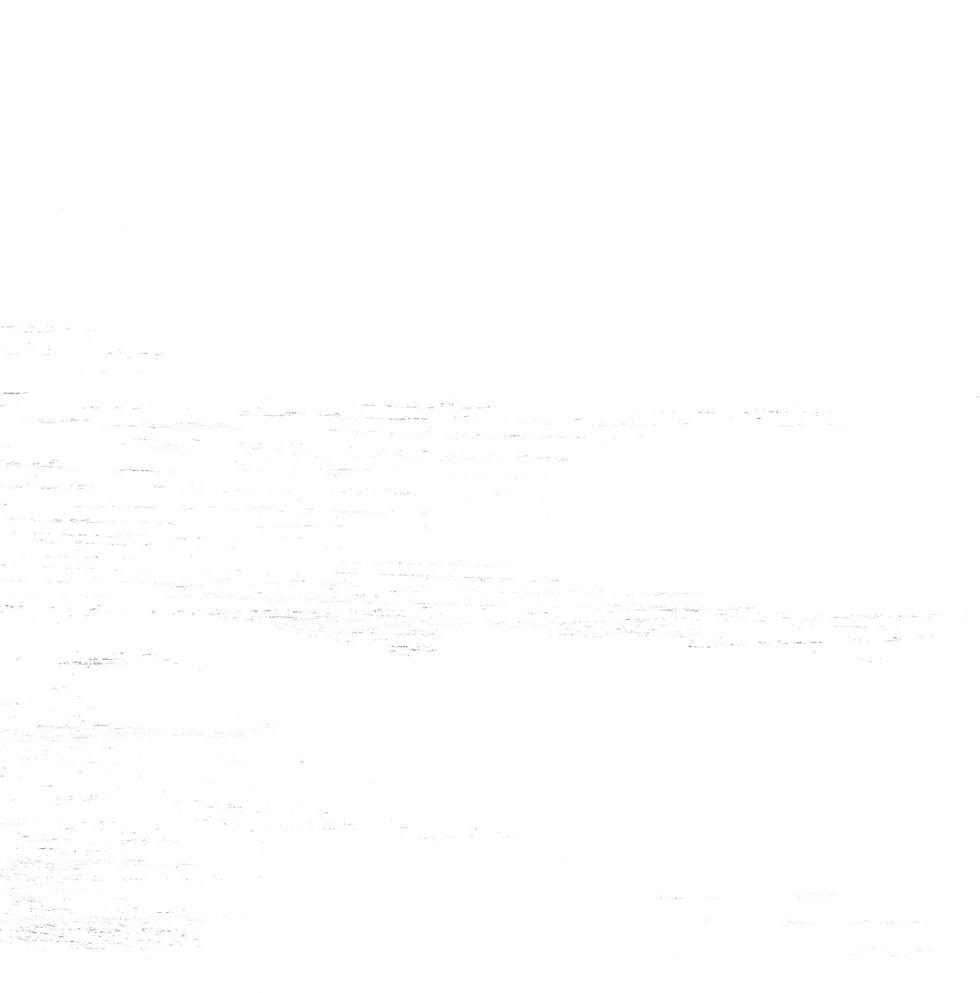 Whitewashed Wood_edited_edited_edited.jpg