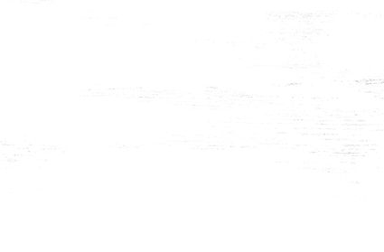 Whitewashed Wood_edited_edited.jpg