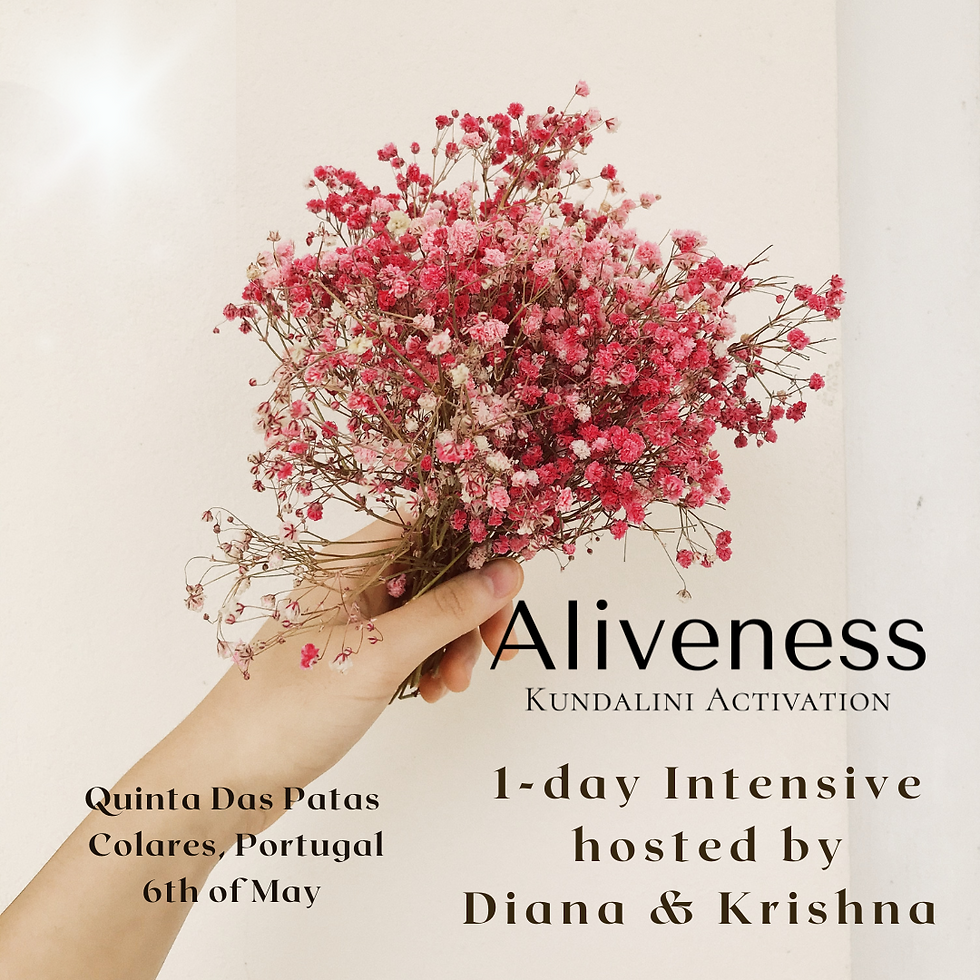 Aliveness 1-day Intensive with Diana & Krishna