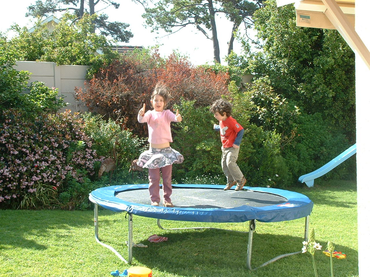 Trampoline