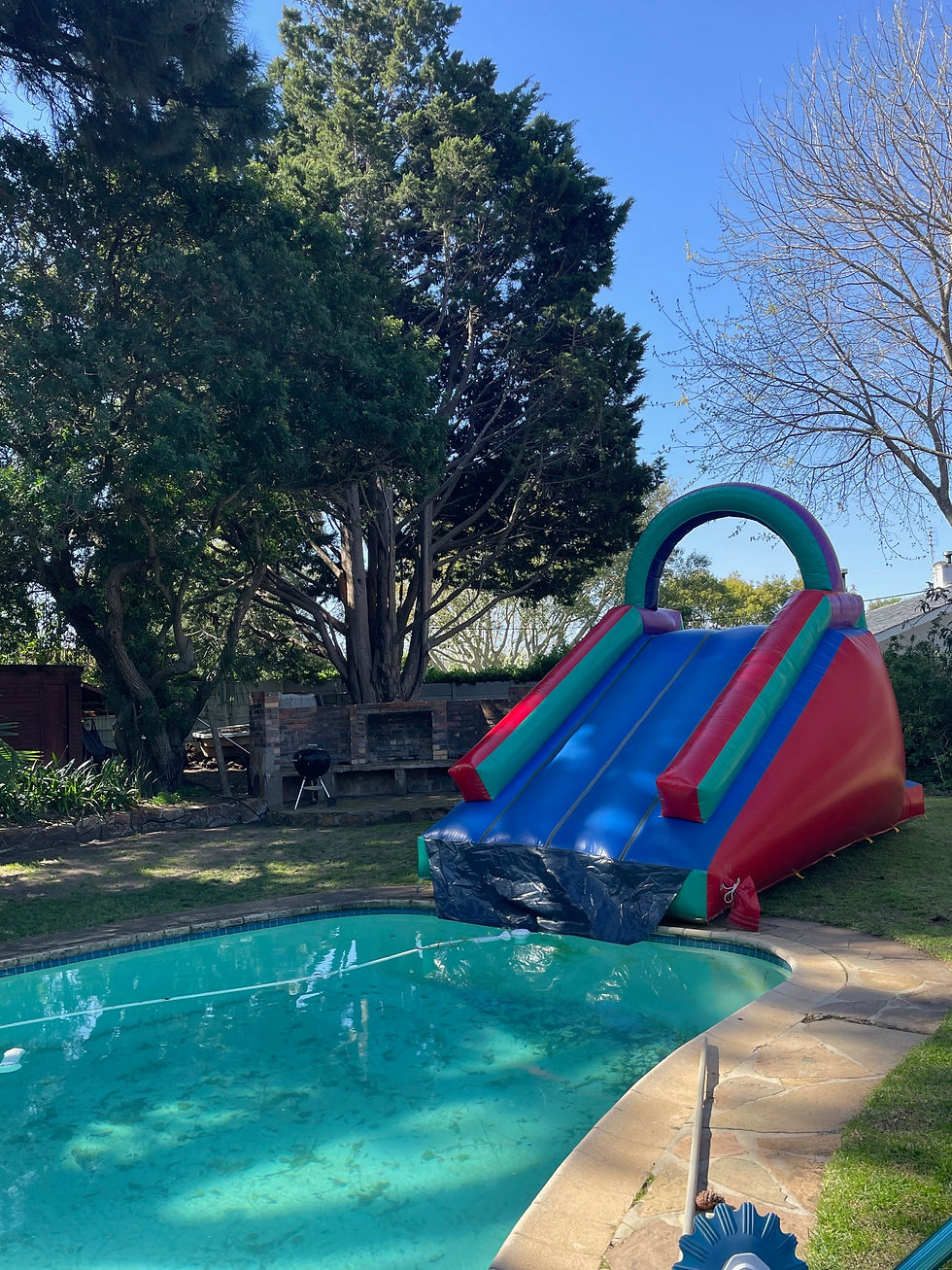 Thumbnail: Plungeslide with optional pond