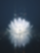 white-lotus-flower-tachyons-particles.png