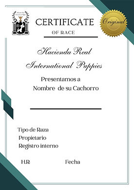 cachorro perro raza puro criadero certificado de raza