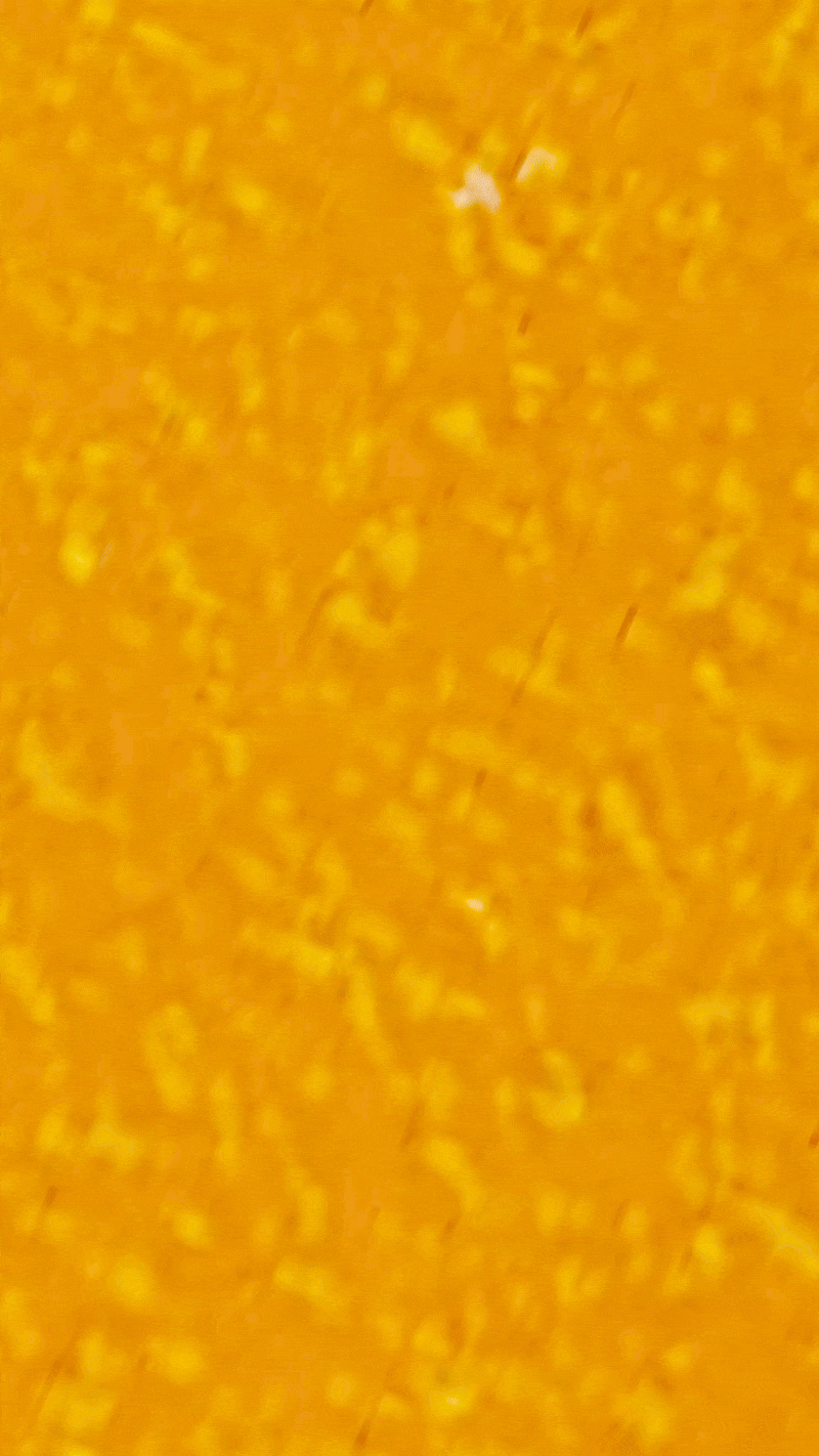 ezgif.com-optimize.gif
