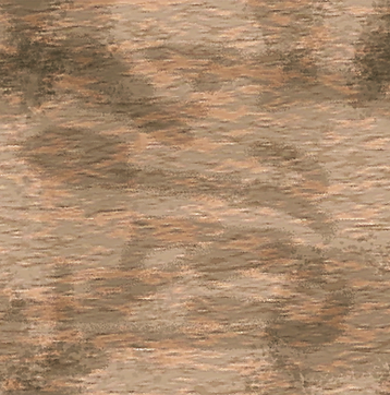 Screen Shot 2024-11-06 at 4.56.40 PM.png