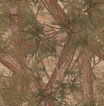 Screen Shot 2024-11-06 at 4.58.07 PM.png