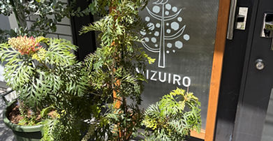 グレビレア開花♪