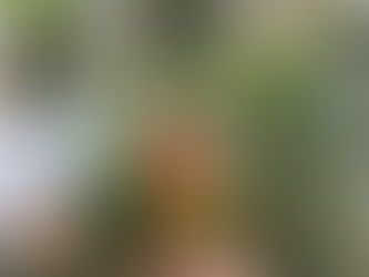 つくねとヨル♪