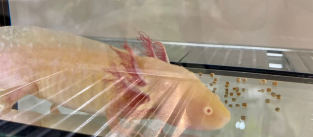 モーちゃんの運動とお食事の様子♪