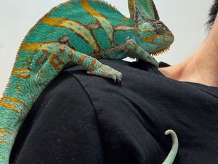 むっくんとのひととき♪