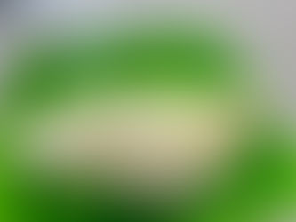 キナコの水浴び♪