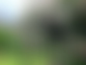 花壇も大活躍です♪