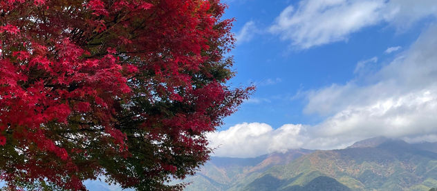 湖の紅葉♪