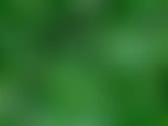 Spill The Tea: Green Tea