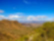 IMG_1800.jpeg