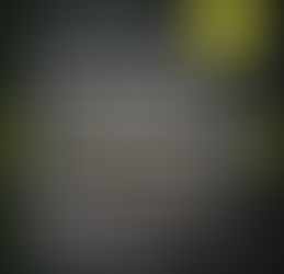 Livro: Transição e Liderança - Histórias de Sucesso das Novas Gerações