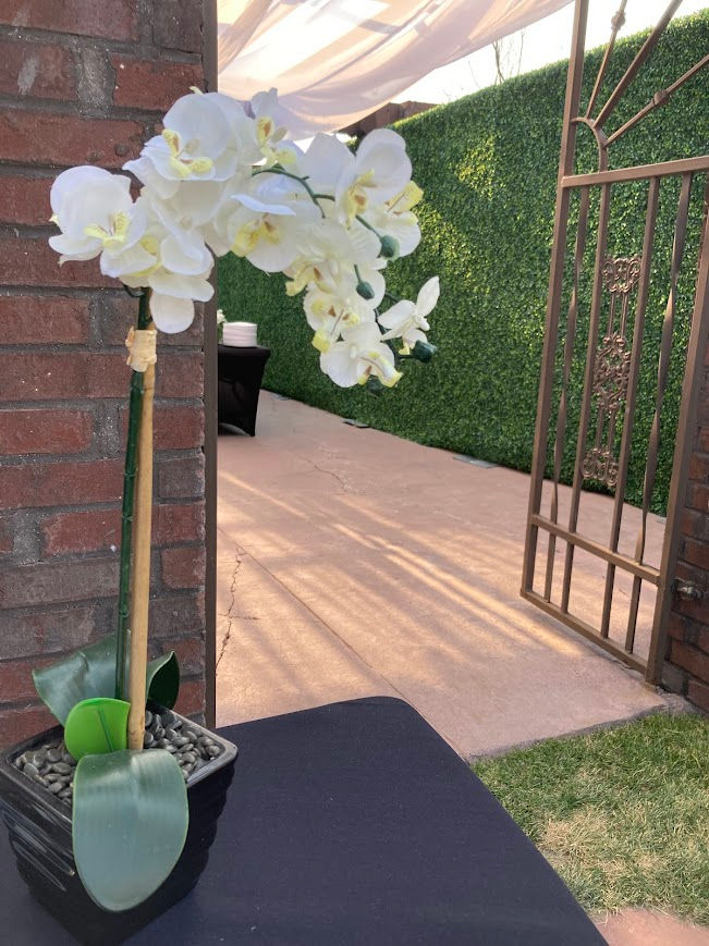 Thumbnail: Medium Orchid