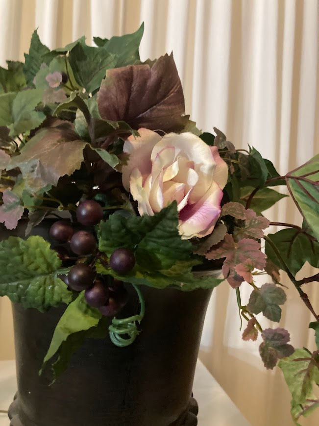 Thumbnail: Grapevine Additions