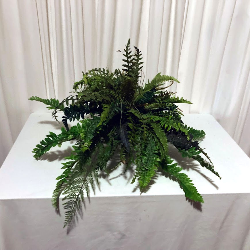 Fern Spray Top