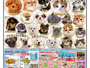 スーパーセンタームサシ上越店