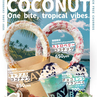 キャラメルココナッツチュロス_ストロベリーココナッツ_フランベイ_チョコミント