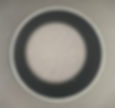 Thumbnail: Glacier Black Replacement End Cap