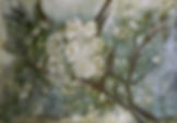 Spring Blossom, 2017