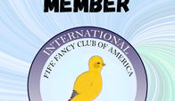 Share This Membership Badge