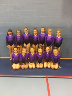 Malcolm Gee Gymnasts
