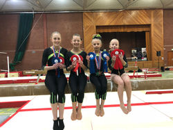 County Level 2 and Level 4 In Age