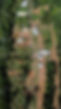 FOTO LOCAL 02.JPG