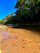 WhatsApp Image 2025-09-02 at 10.17.31.jpeg