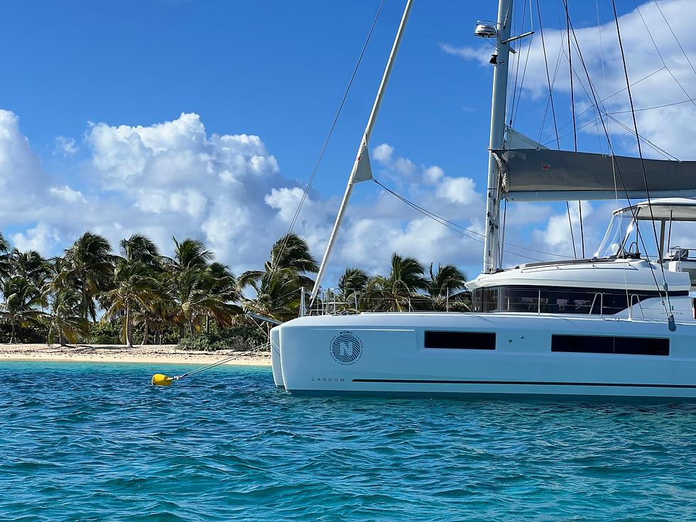 Lagoon 51 Nowo croisières catamaran en Guadeloupe réserve de Petite-terre