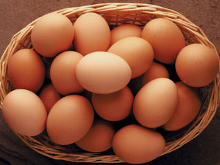 Eggs: Organic, Free Range, Free Run, Omega 3, White or Brown? Understanding the jargon…