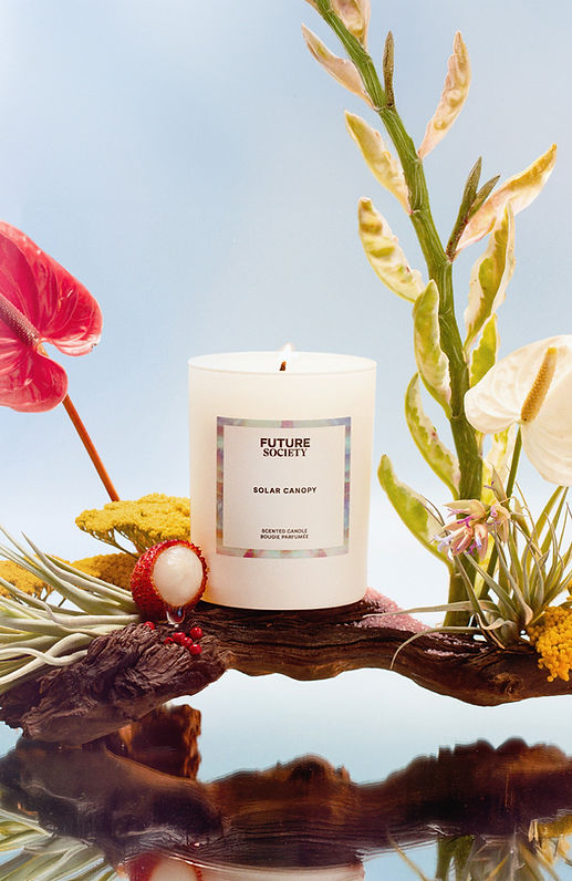 SOLAR_CANOPY_RYMAR_FINAL_FUTURE_SOCIETY.jpg