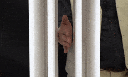 safety gif cropped .gif