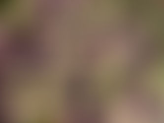 Nhoque de batata doce roxa com molho branco (vegano)