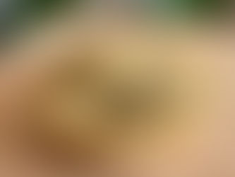 Empada vegana proteica com massa de feijão