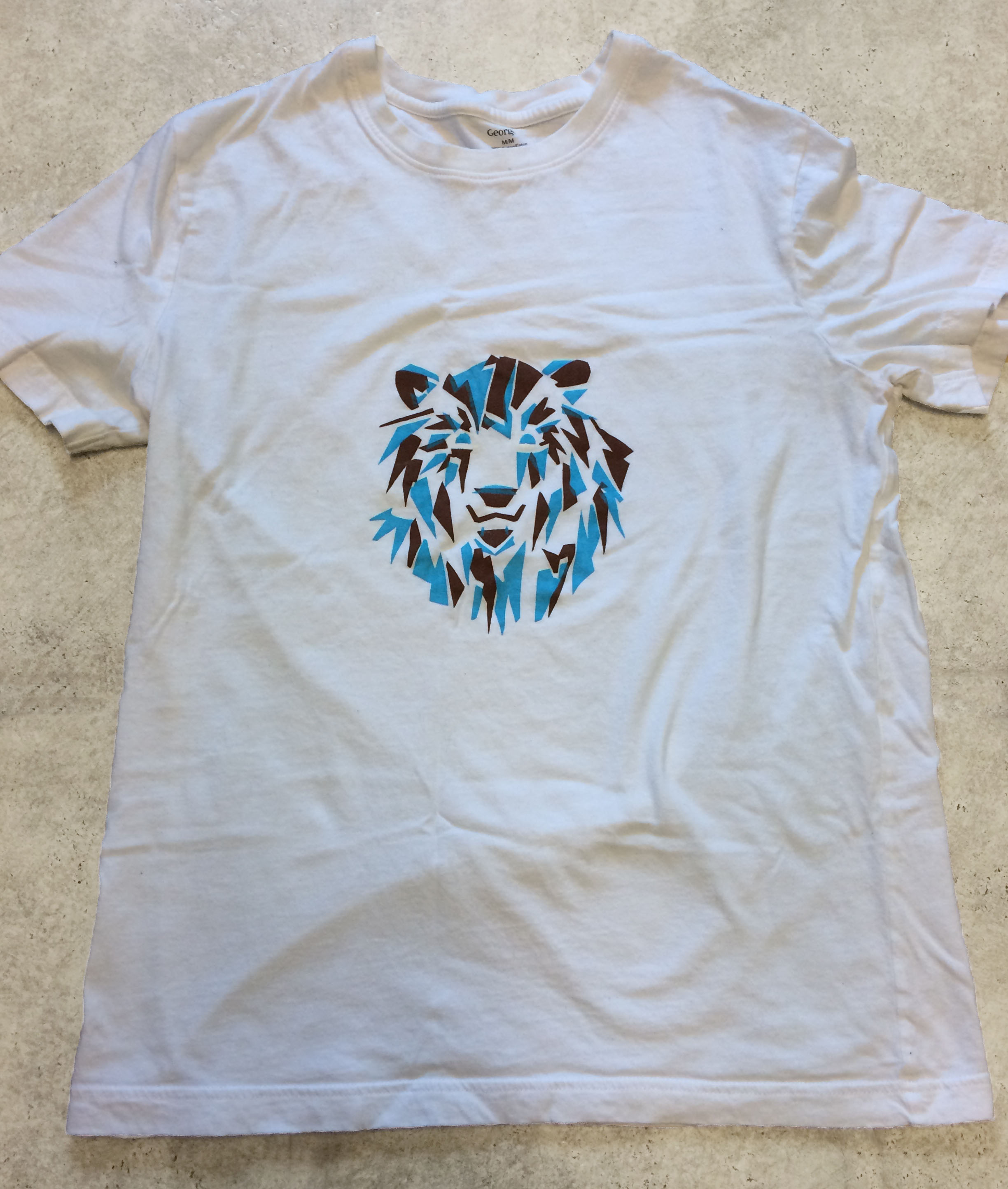 Bears in Hazenmore Shirt