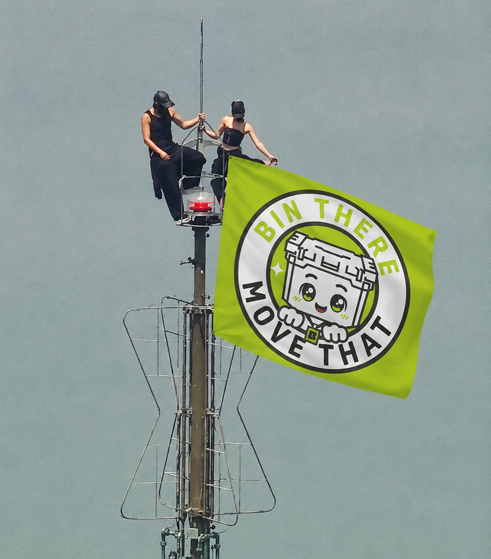 BinnyFlag.JPG