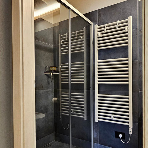 Walk-in shower detail in the modern bathroom of Apartment Martin in Livigno.