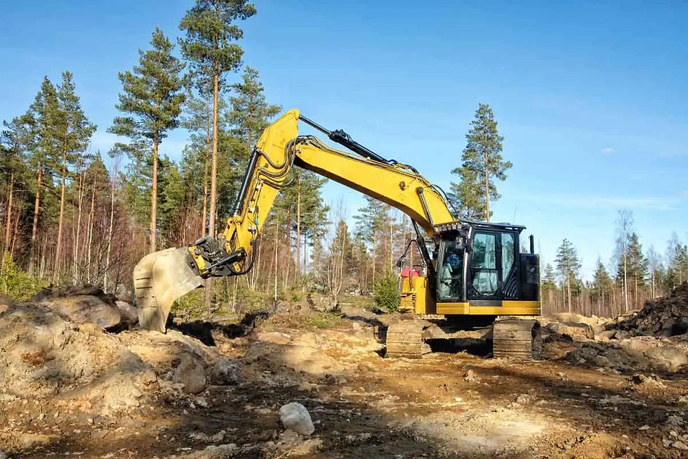land dev.jfif