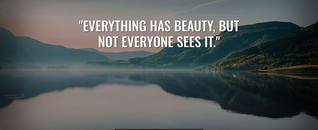 "Everything has beauty, but not everyone sees it."