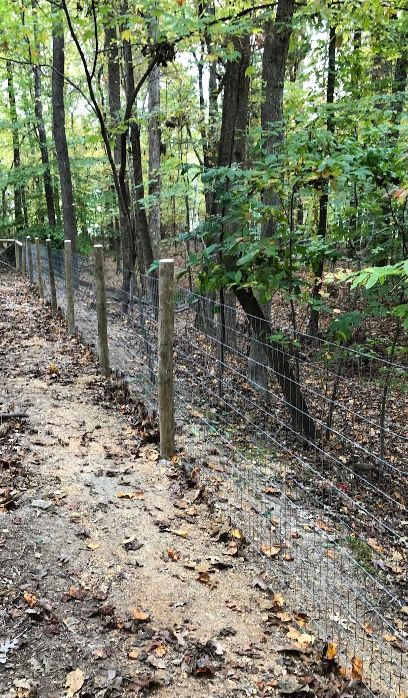 Dog fencing Chapel Hill
