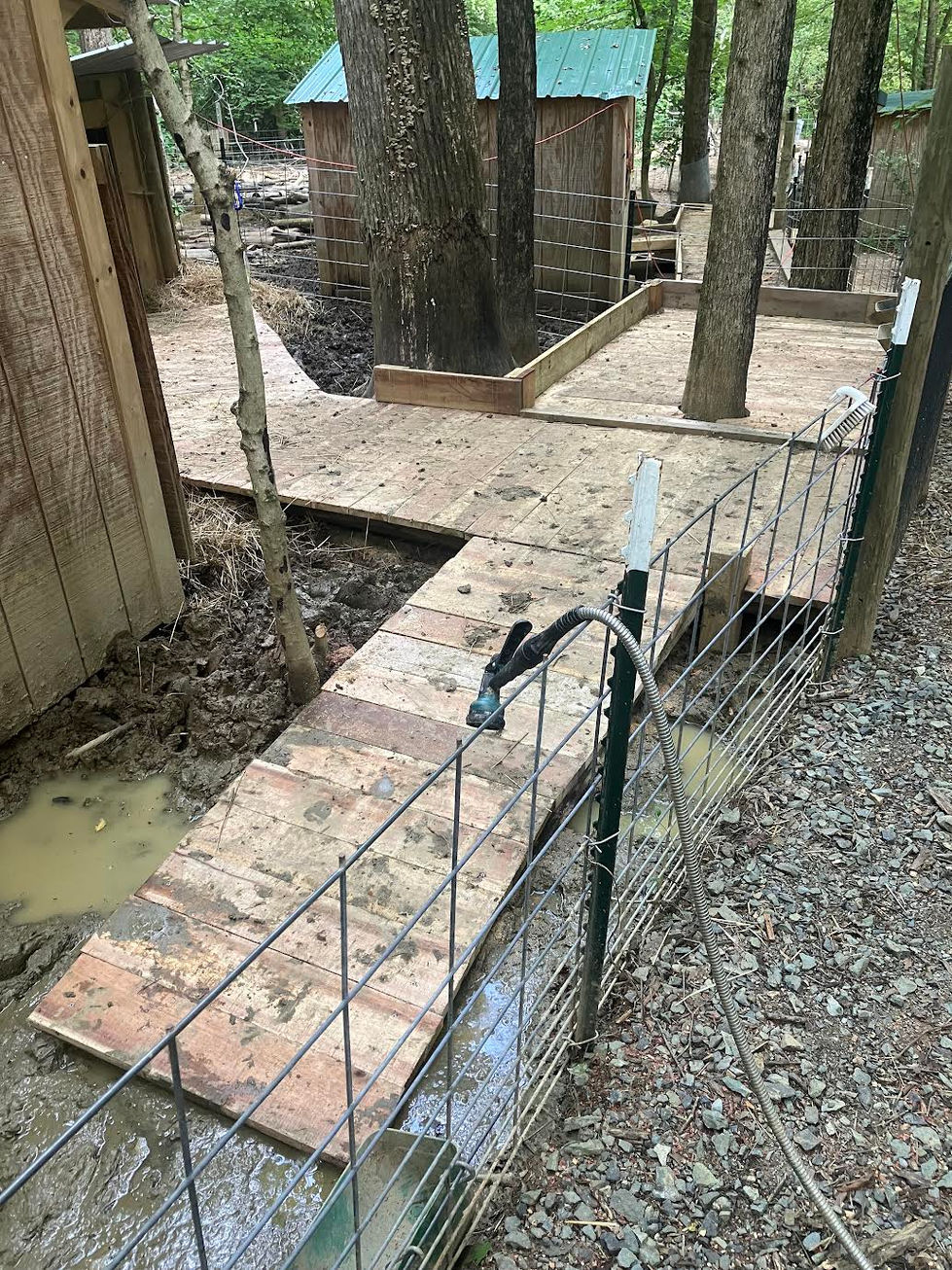 Boardwalk for a pig rescue farm