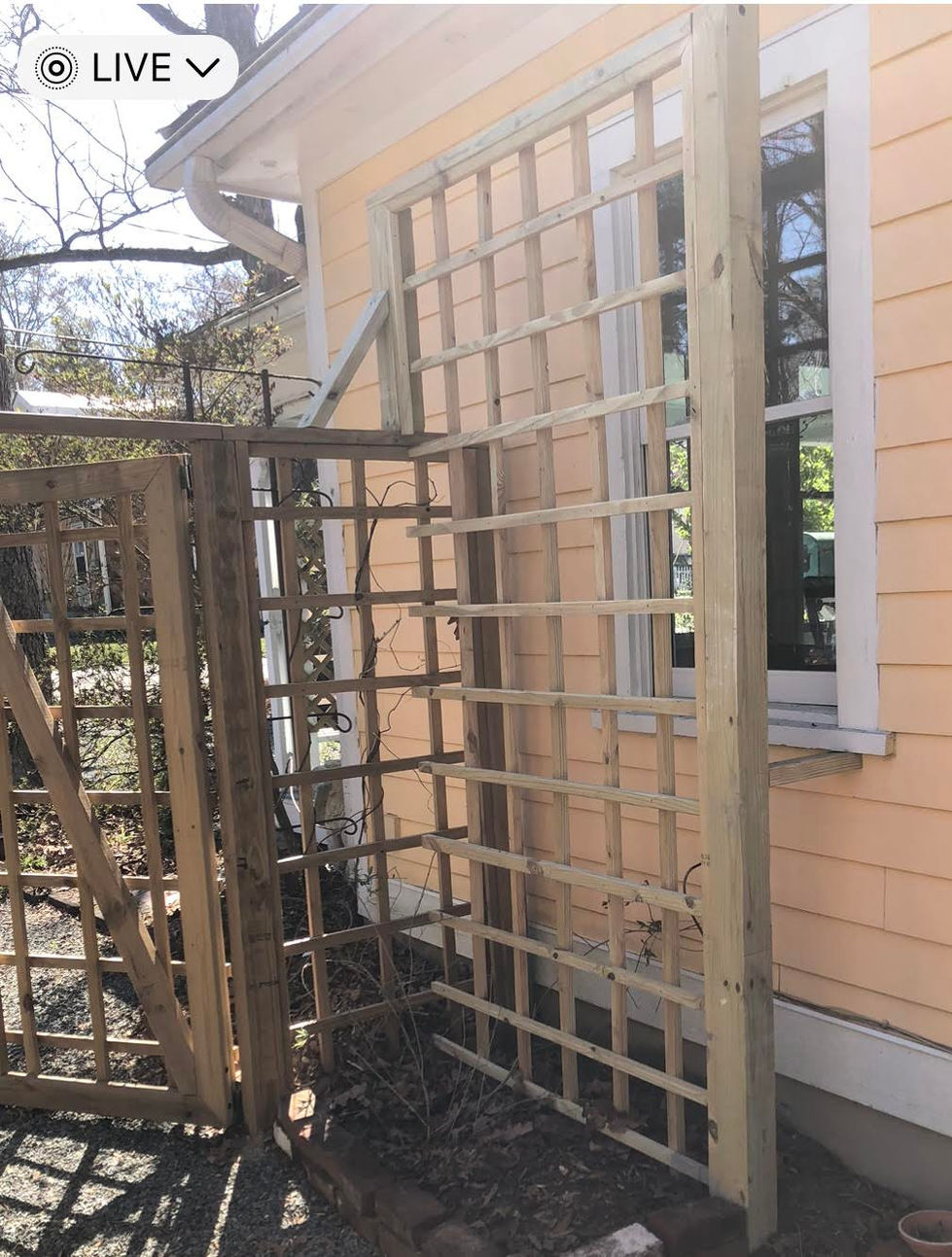 Carrboro trellis for a large window