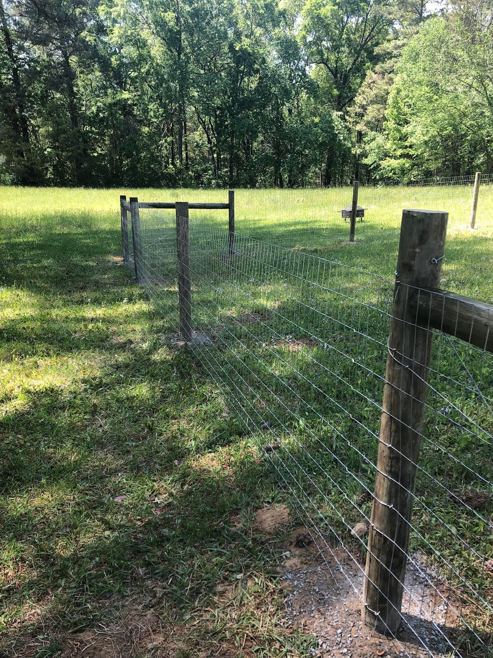 Fence for dogs in Saxapahaw, NC