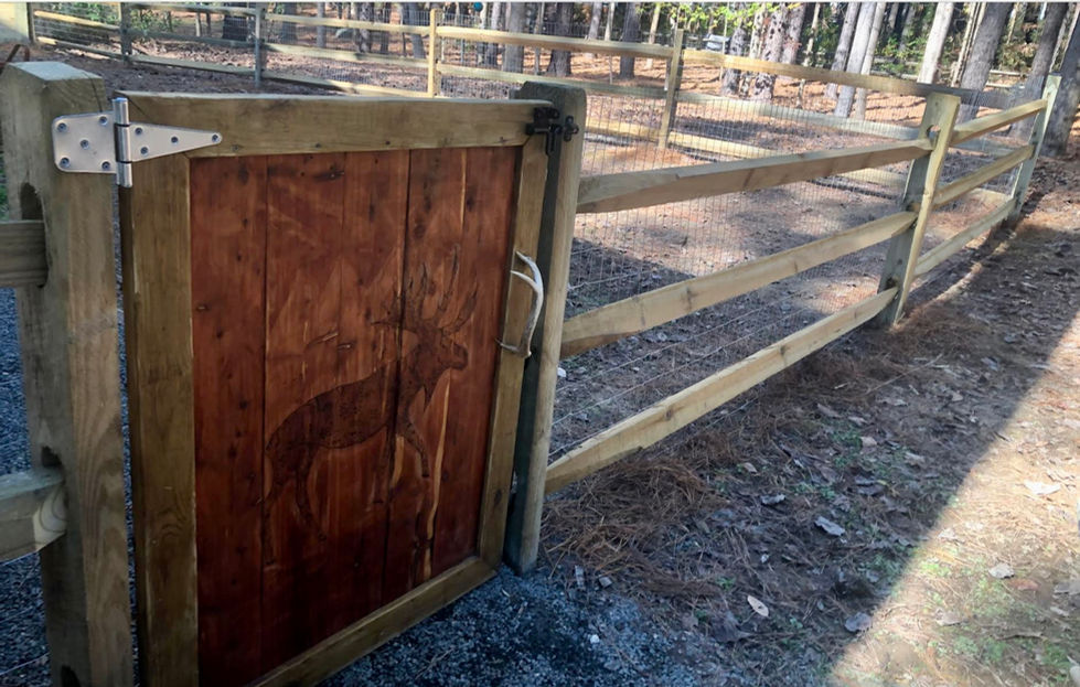 Custom made gate Carrboro