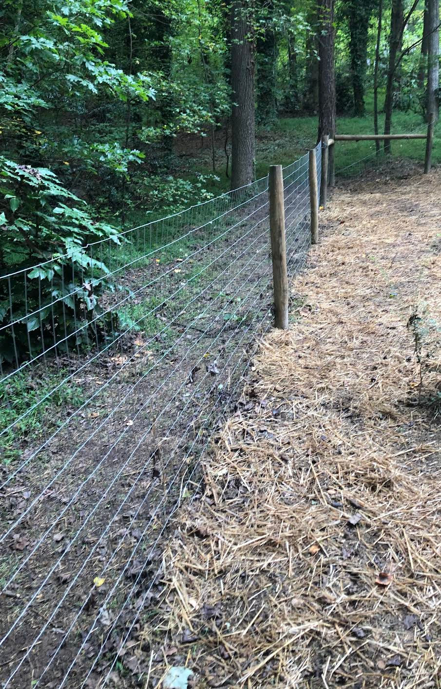 Fence for a dog in Pittsboro, NC