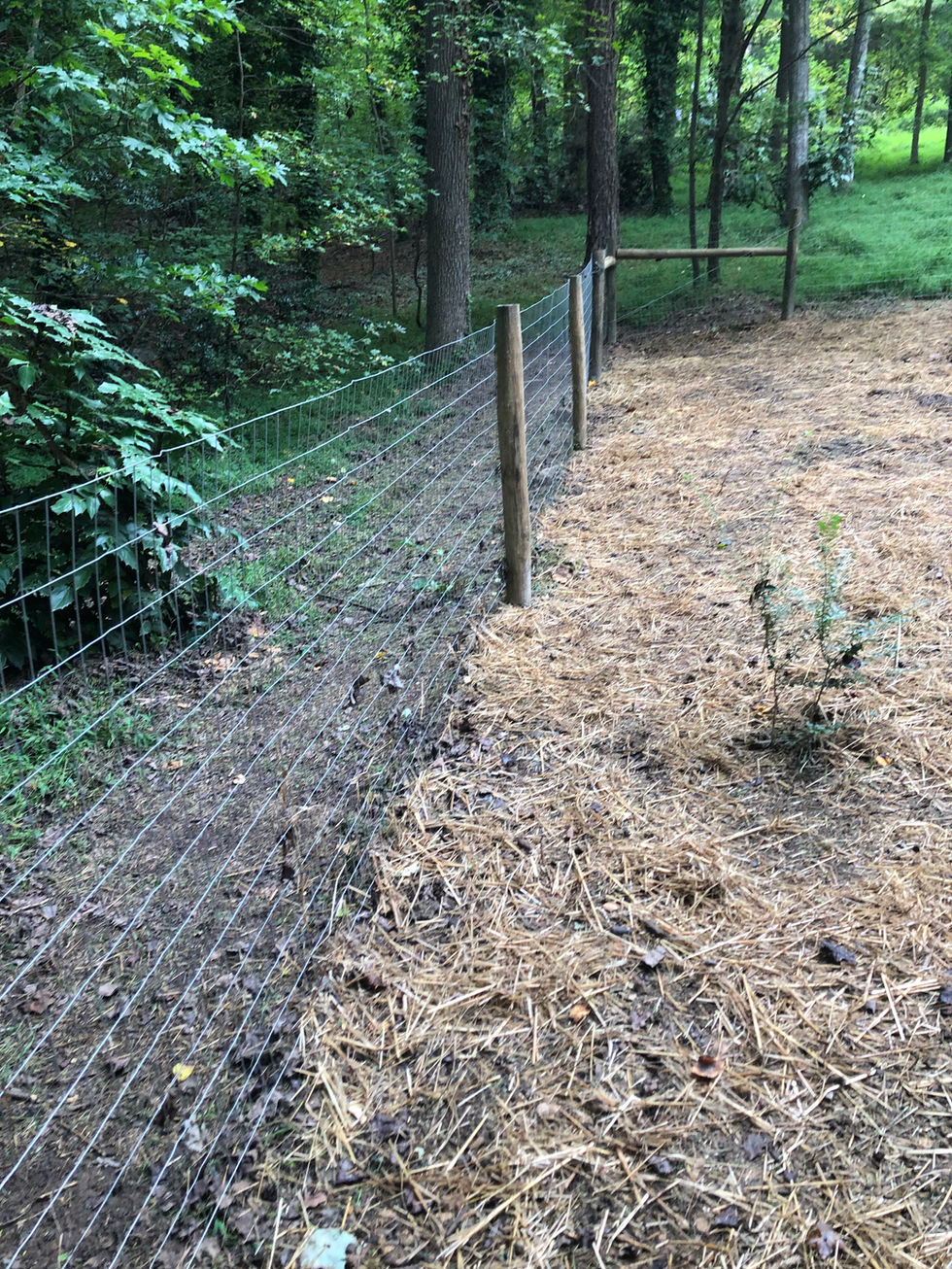 Custom dog fence with welded wire and cca circle posts Polks landing Chapel, Hill